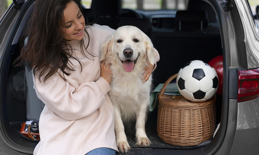 Perro en el interior de un coche mientras es acariciado por una mujer